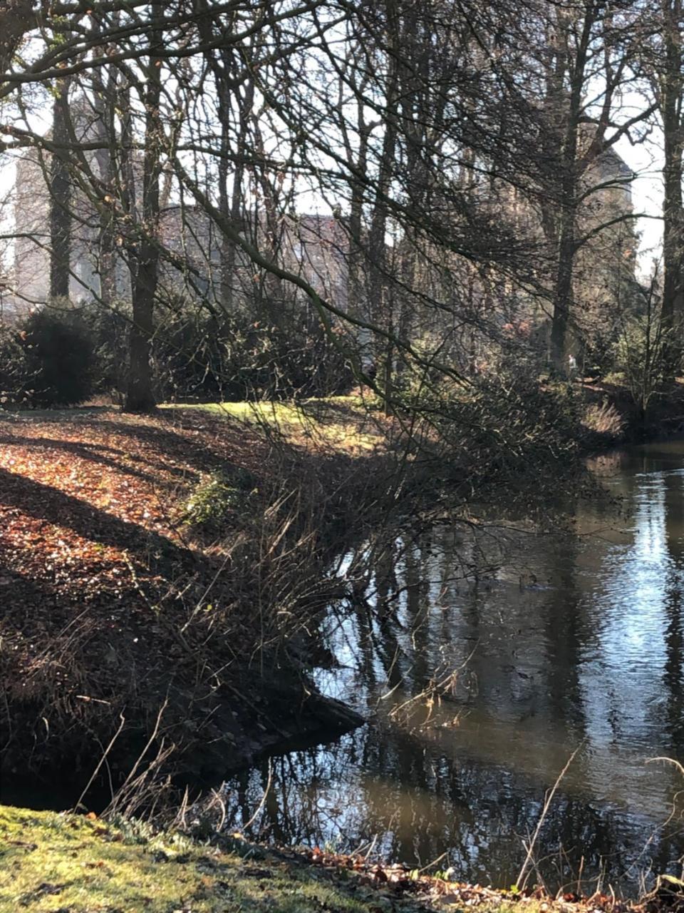 Koenig'S Hotel Am Schlosspark Rheda-Wiedenbrueck Luaran gambar