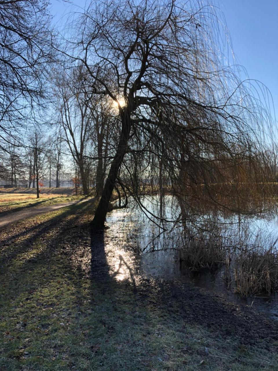 Koenig'S Hotel Am Schlosspark Rheda-Wiedenbrueck Luaran gambar